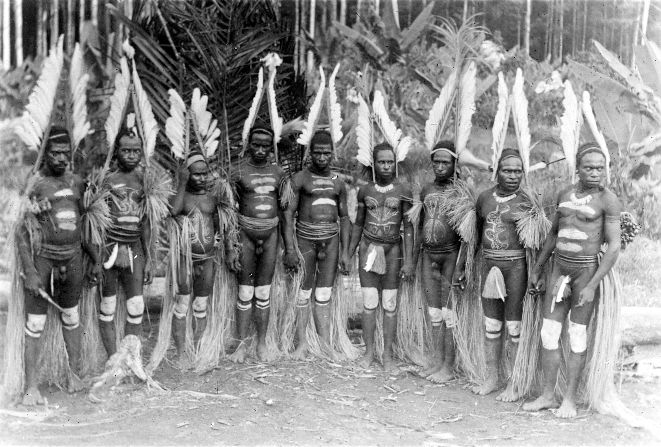 Groepsportret Papua's afkomstig uit de omgeving van de bovenloop van de rivier Digul