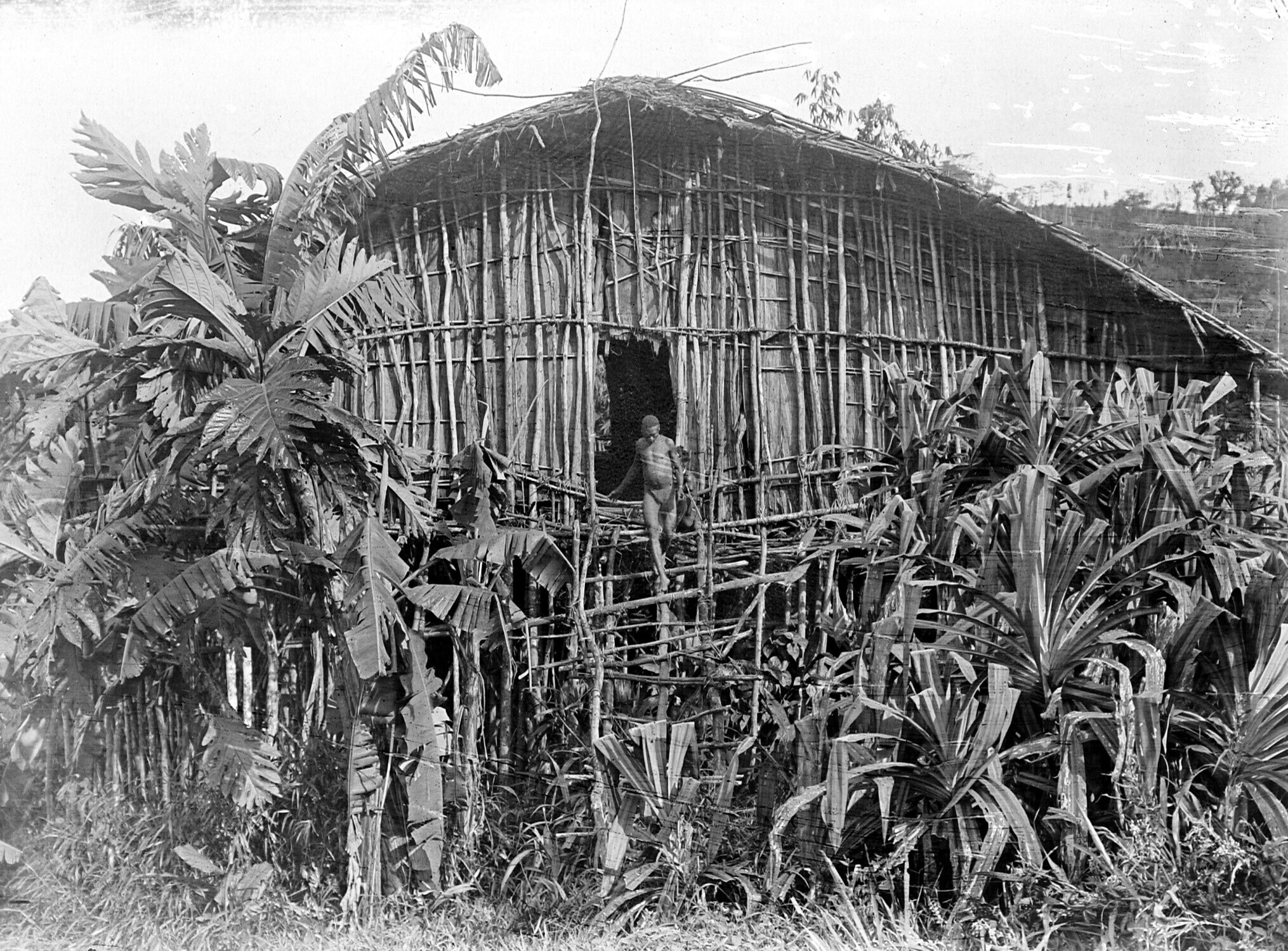 Paalwoning van Manikion Papua's