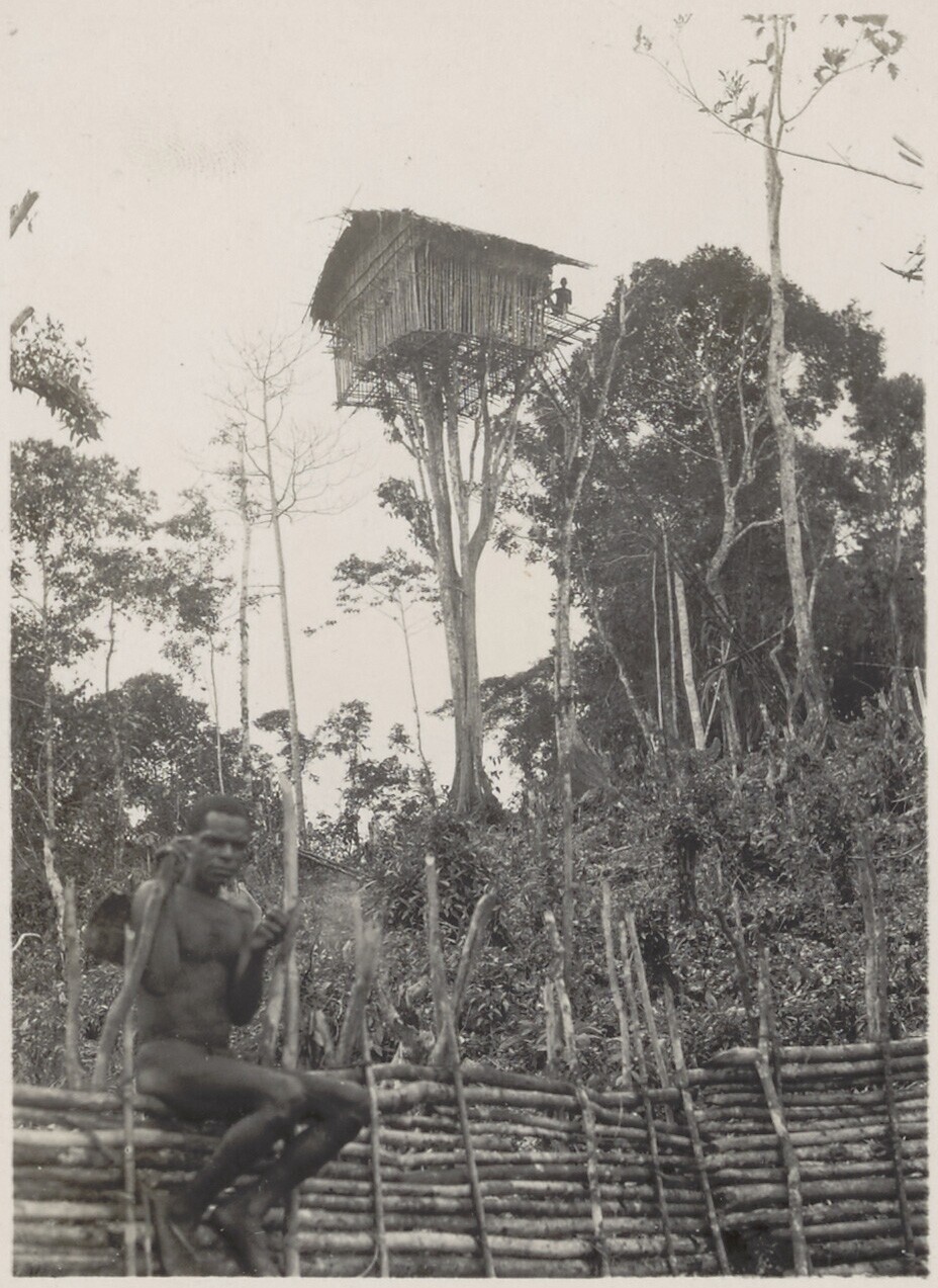 A tree house near Lake Amaru